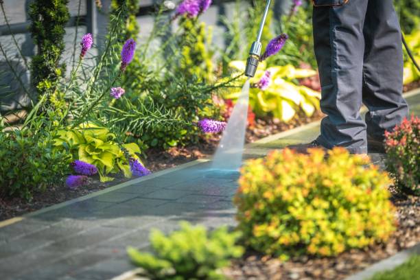 Best Pool Deck Cleaning  in Fairmount Heights, MD