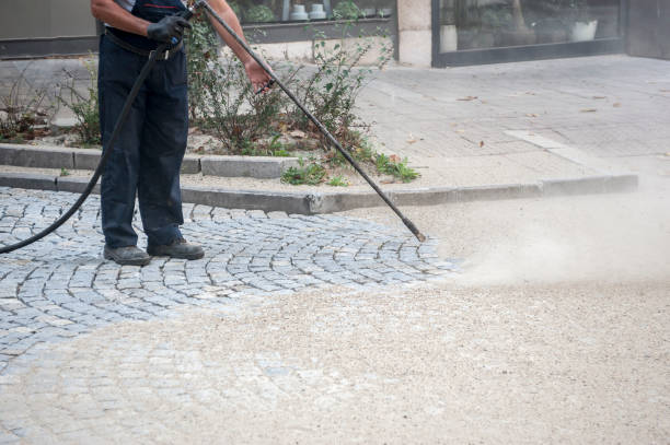 Best Pre-Holiday Cleaning  in Fairmount Heights, MD